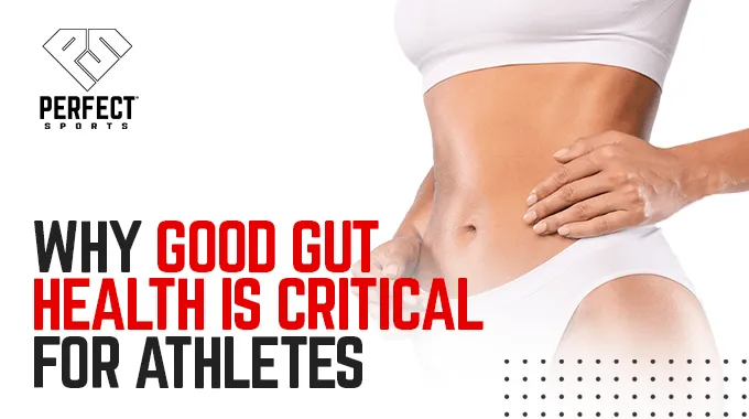 Why Good Gut Health is Critical for Athletes